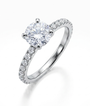 Round Diamond Pave Ring (custom)